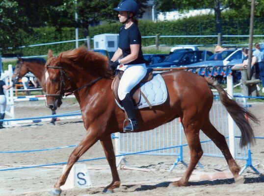 Centre équestre Saint Céré Equitation - St Jean Lagineste
