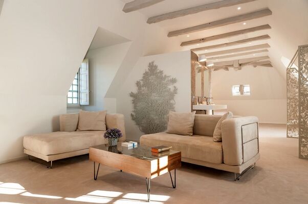 suite-magnolia-chateau-marsac-limousin