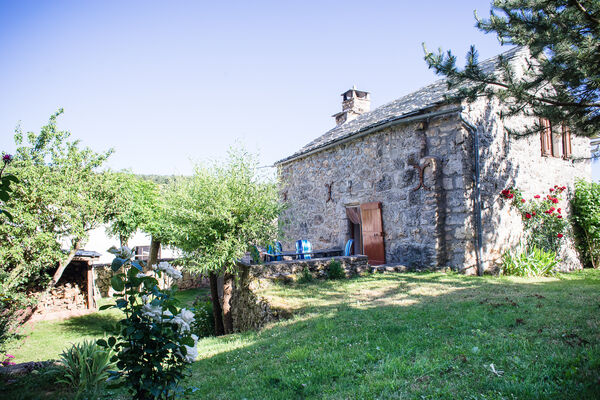 HLOLAR0480009816_01_V