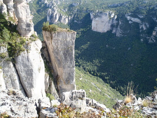 Escalade gorges de la Jonte