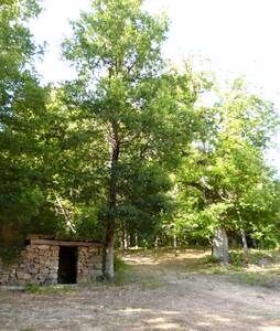 cabane
