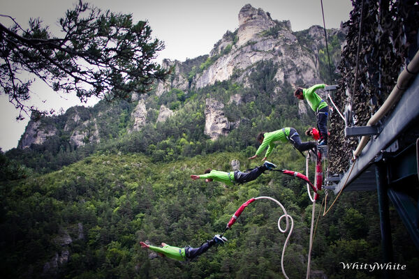 Elastic Natural Bungee Le 107