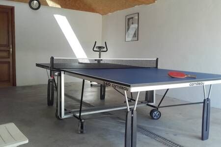 ping pong