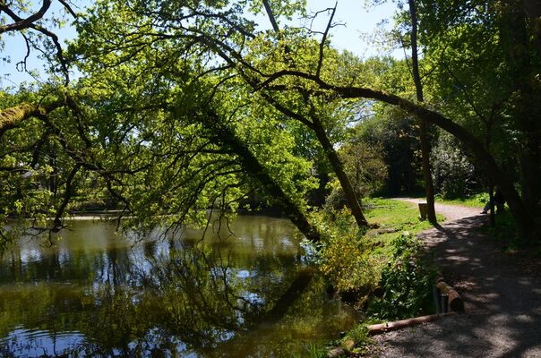 Etang de Guindreff