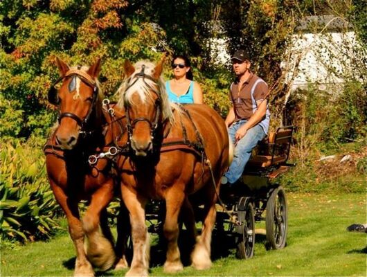Au Trot'Mant - tourinsoft