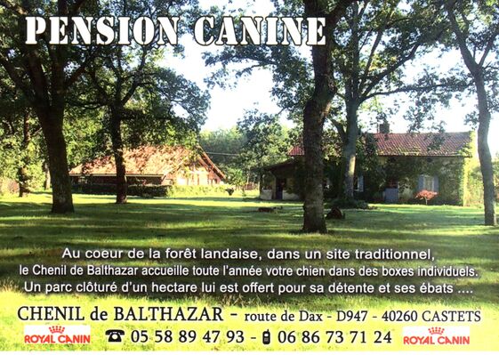 CASTETS_Pension canine