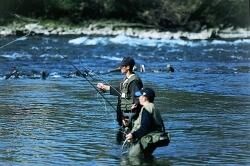 PECHE TRUITE ET SAUMON EN BEARN DES GAVES