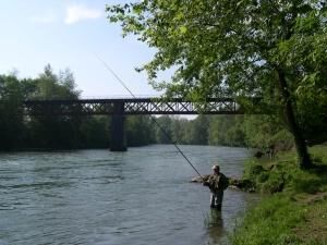 PECHE TRUITE ET SAUMON EN BEARN DES GAVES