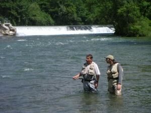 PECHE TRUITE ET SAUMON EN BEARN DES GAVES
