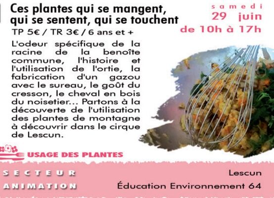 Ces-plantes-qui-se-mangent---CPIE