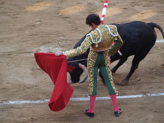 Corrida 2