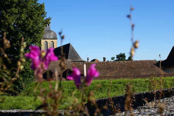 DSC00311-6