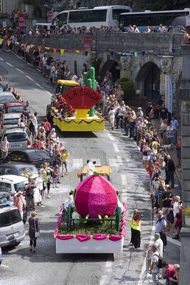 FETE DES FLEURSFETE DES FLEURS 05 021