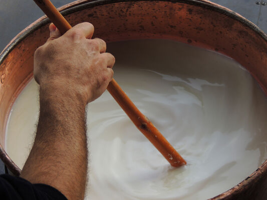 Fabrication du fromage