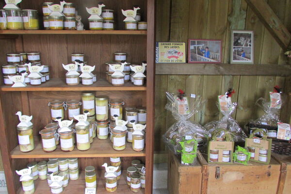 LEON-Ferme-de-Grit-2
