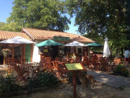 La Guinguette Why not