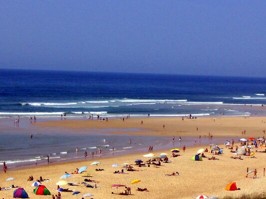 Plage du Cap de l'Homy