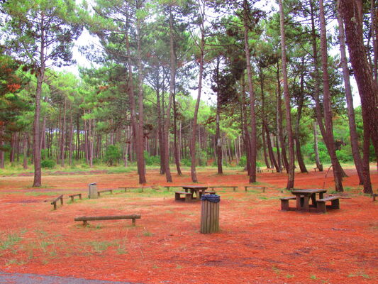 VSG--aire-de-pique-nique-plage