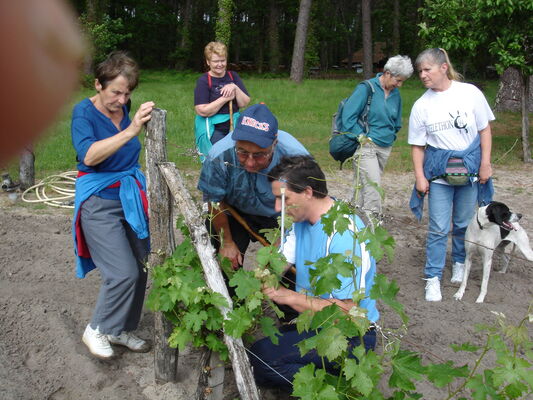 Vins de Montgrand