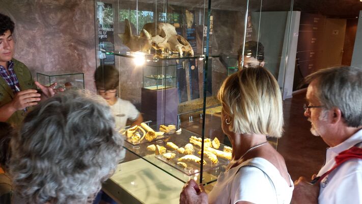 Visite-Musee