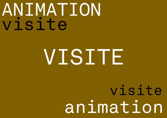 Visuel-visite-5