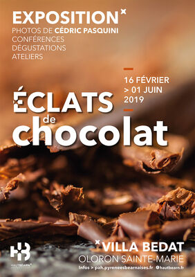 affiche_expo_eclatsdechocolat