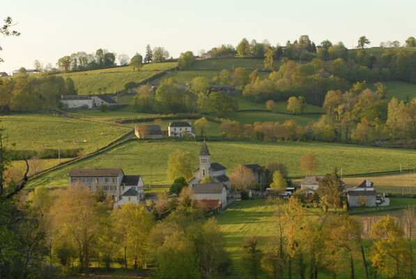 lys-jpg-261-5