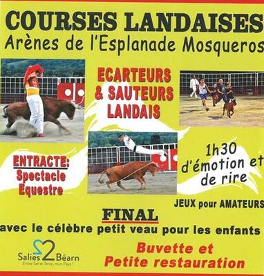 course-landaise-salies-flyers-et-affiches-2016_1 (1)