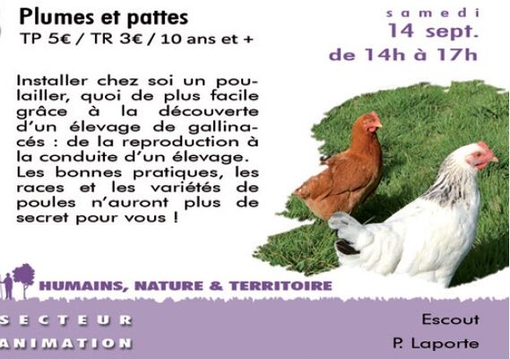 plumes-et-pattes---CPIE