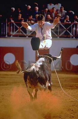 saut