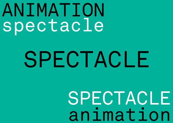 visuel-spectacle-8