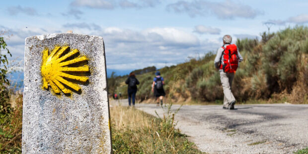 web3-camino-de-santiago-de-compestella-st-james-pilgrimage-route-yellow-sea-shell-scallop-shell-shutterstock