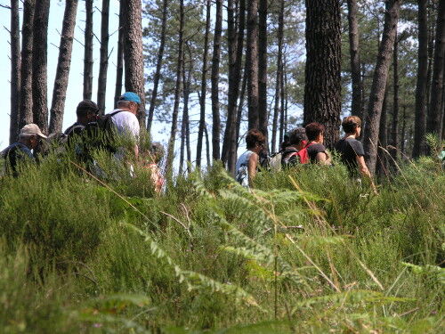 -® BIT Castets - CASTETS - Rando (4)TS