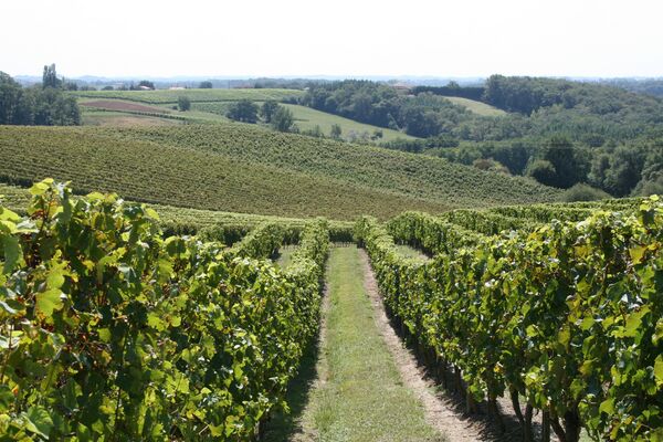 -Cave-Vignerons-Tursan