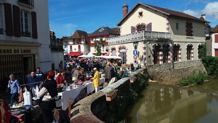 Vide grenier Salies à Peindre