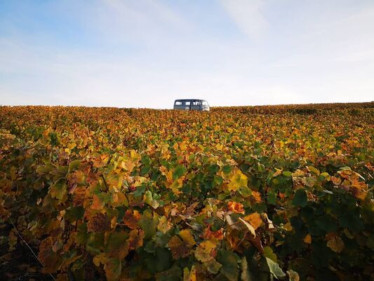Couleurs d'automne