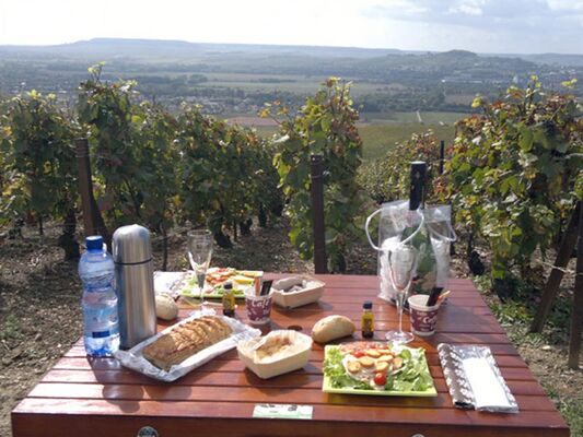 Ay-eco-visite-repas
