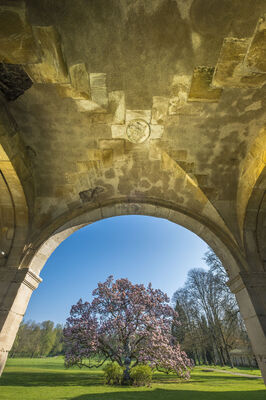 Abbaye de Trois-Fontaines