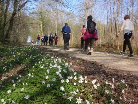 Association sportive et culturelle - Marcilly-sur-Seine