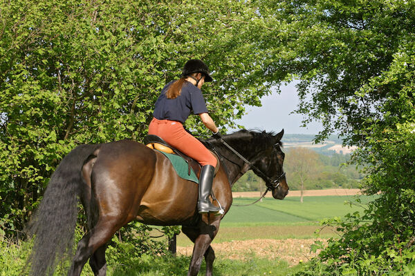 Balade équestre