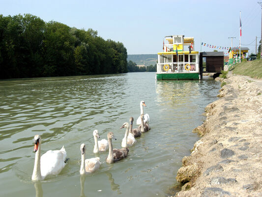 Bateau Champagne Vallée - Cumières