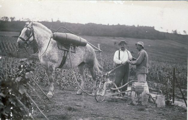 CHAMPAGNE FRUIT D'UNE TRADITION - Epernay Patrimoine (2)