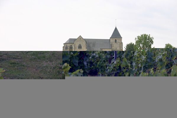 Dans le Vignoble