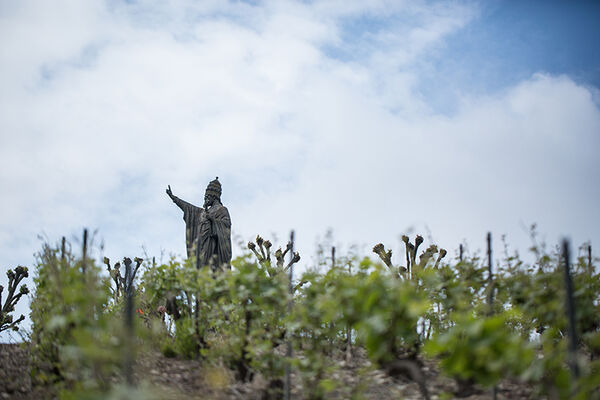Champagne Charlier - Montigny sous Chatillon