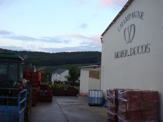 Champagne Didier Ducos - St Martin d'Ablois