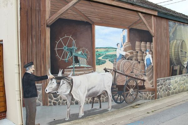 Champagne Dom Caudron - Passy-Grigny (11)