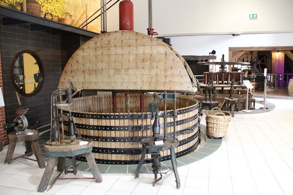 Champagne Dom Caudron - Passy-Grigny (14)