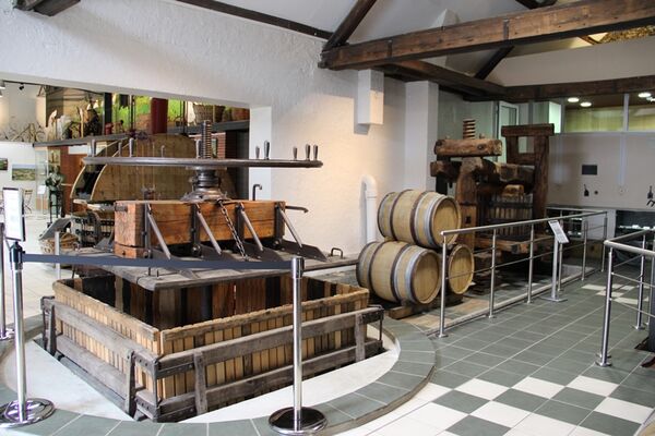 Pressoir du musée