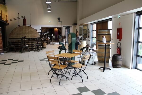 Champagne Dom Caudron - Passy-Grigny (2)