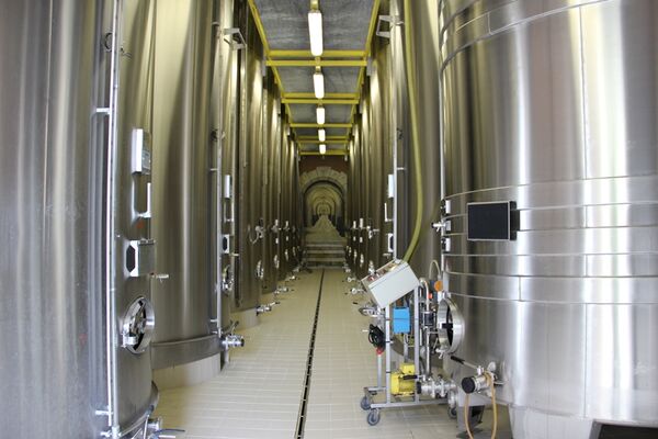 Champagne Dom Caudron - Passy-Grigny (9)